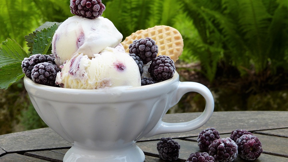 Zmrzlinovač a domácí zmrzlina
