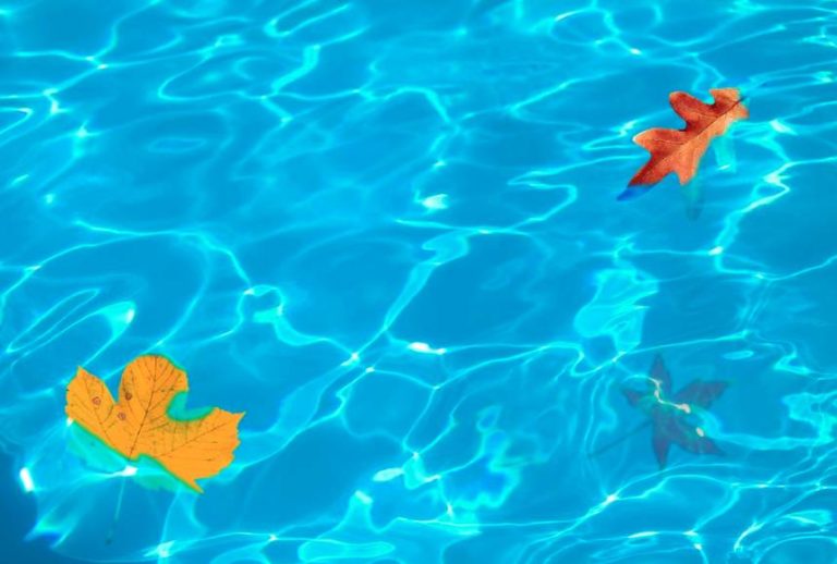 Údržba bazénu a úprava vody jsou nesmírně důležité – jak na ně?